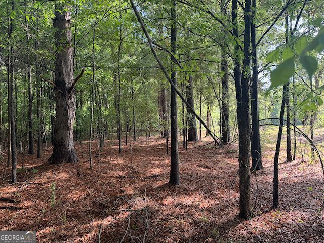 319 E Mccarty Street Sandersville GA 31082