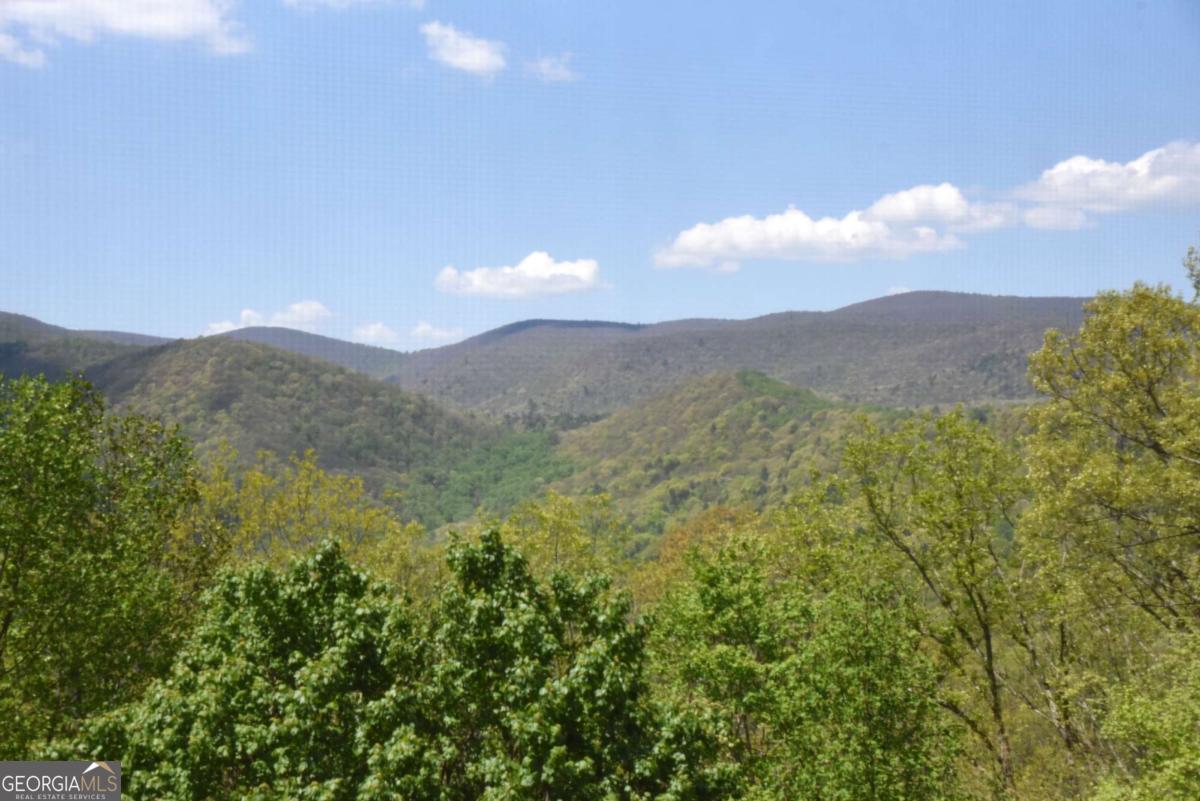 327 Prospectors Pass Ellijay GA 30536