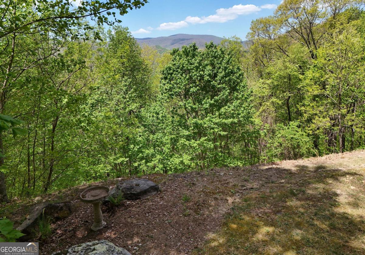 327 Prospectors Pass Ellijay GA 30536