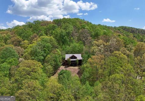 327 Prospectors Pass Ellijay GA 30536