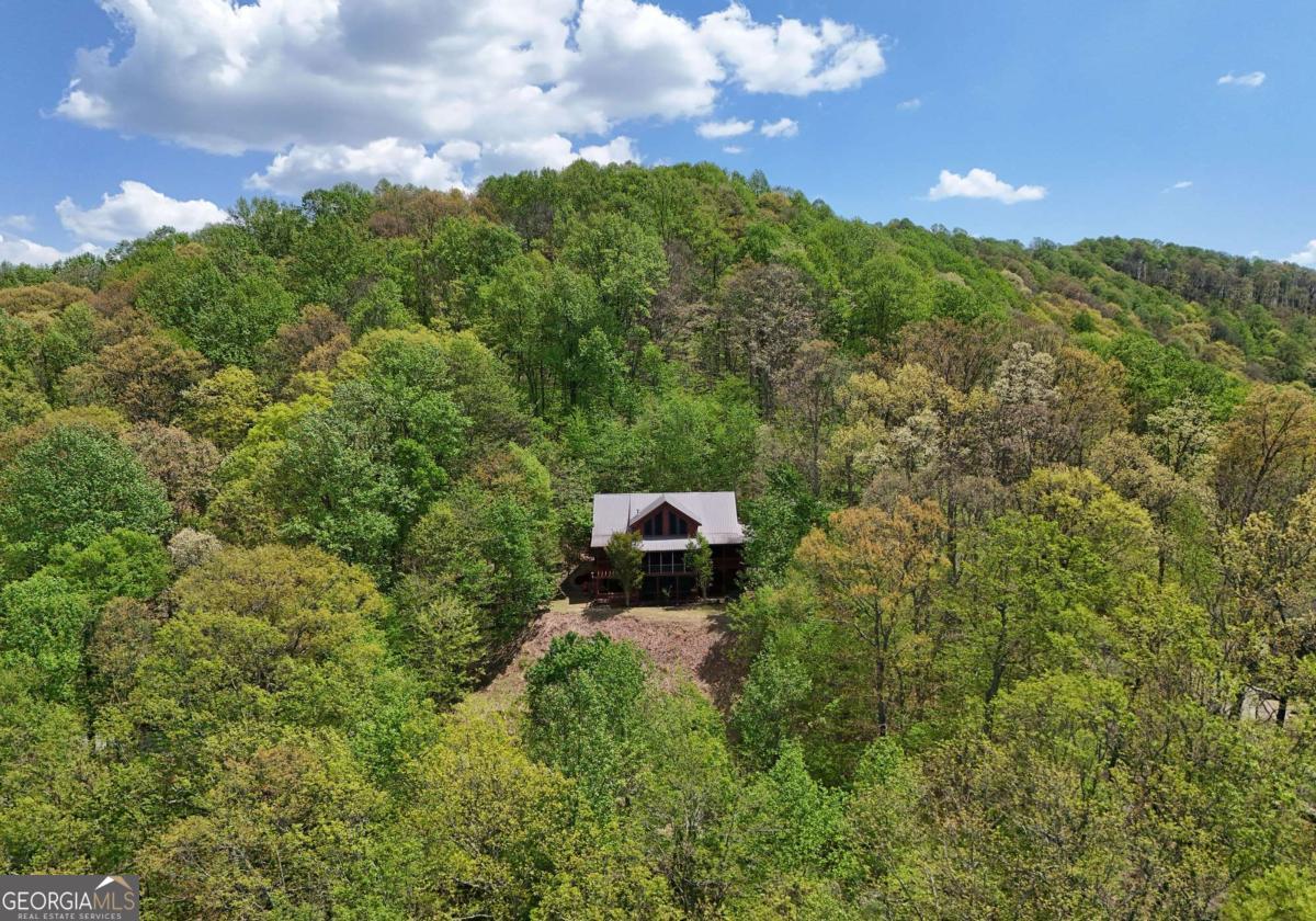 327 Prospectors Pass Ellijay GA 30536