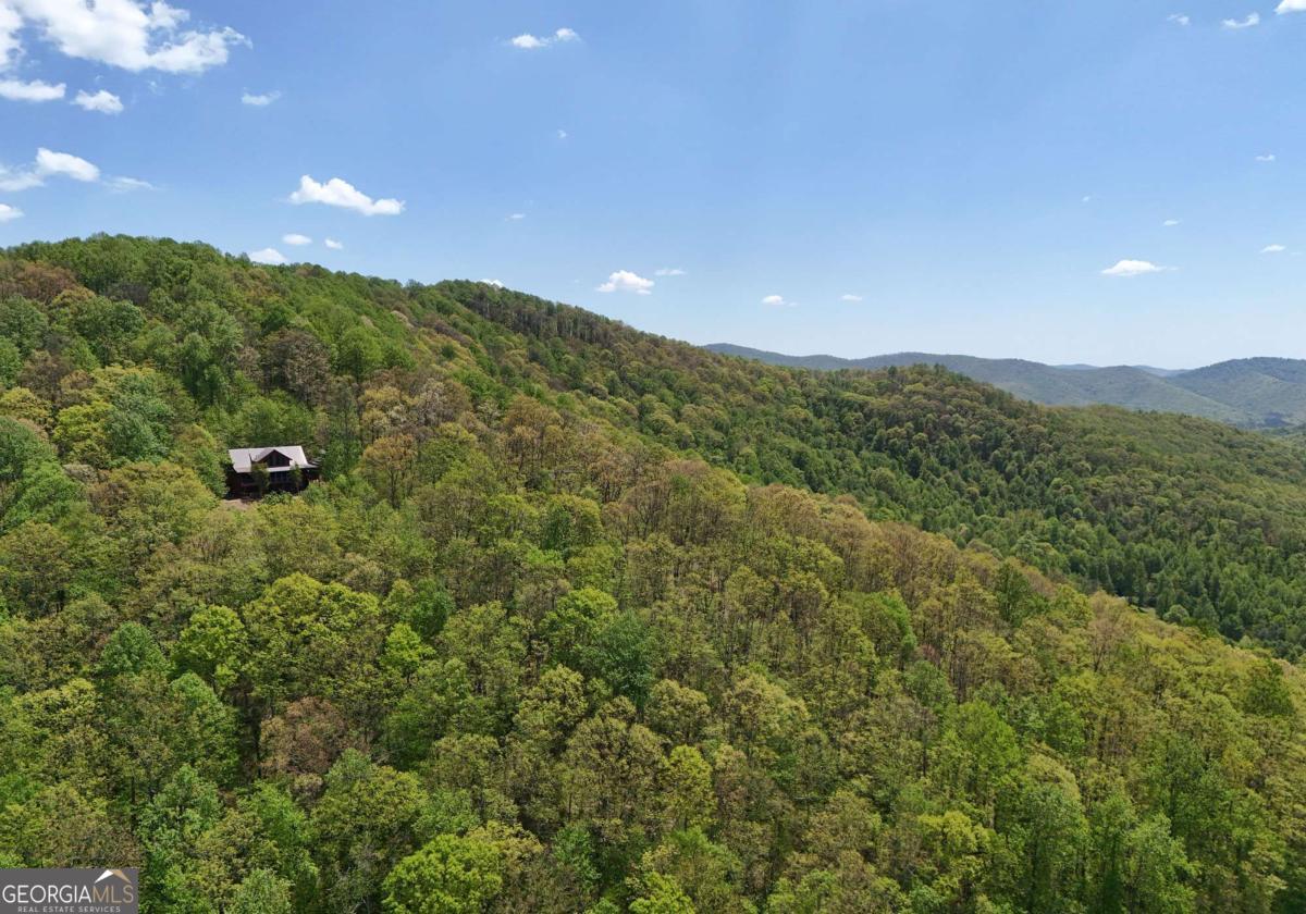 327 Prospectors Pass Ellijay GA 30536