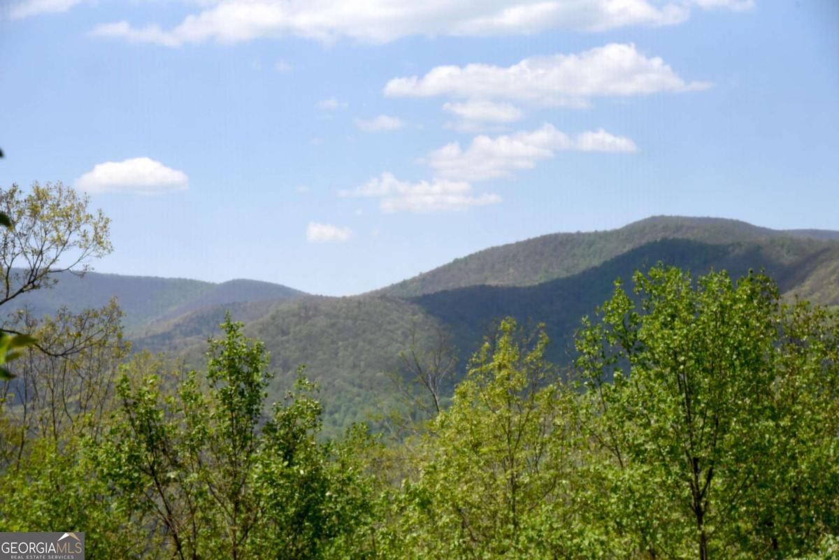 327 Prospectors Pass Ellijay GA 30536