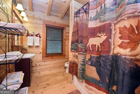 327 Prospectors Pass Ellijay GA 30536