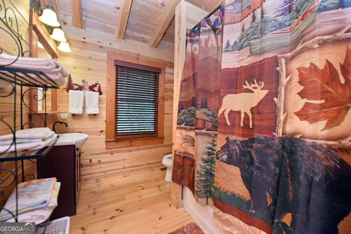 327 Prospectors Pass Ellijay GA 30536