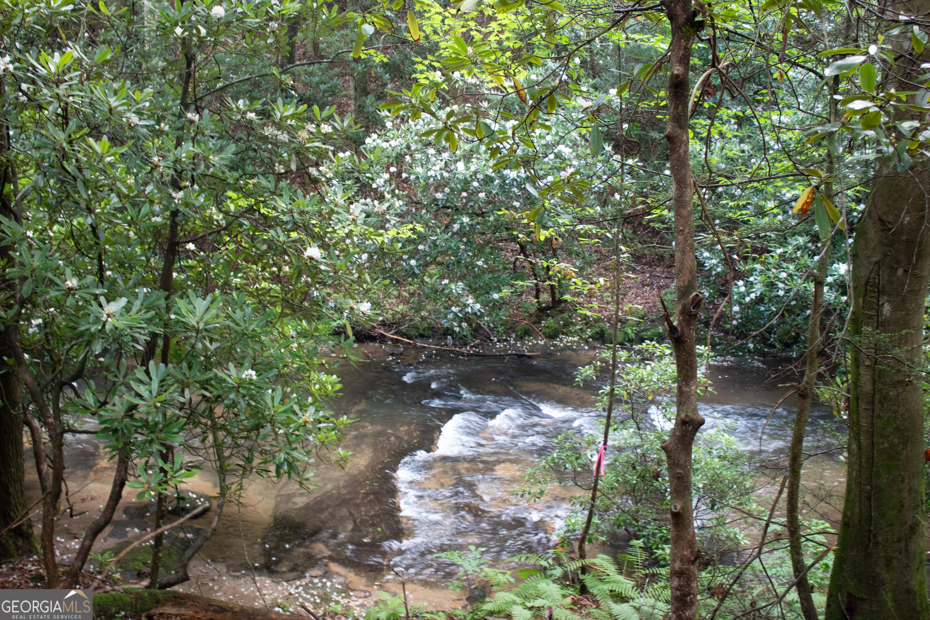 1990 Big Creek Road Blue Ridge GA 30513