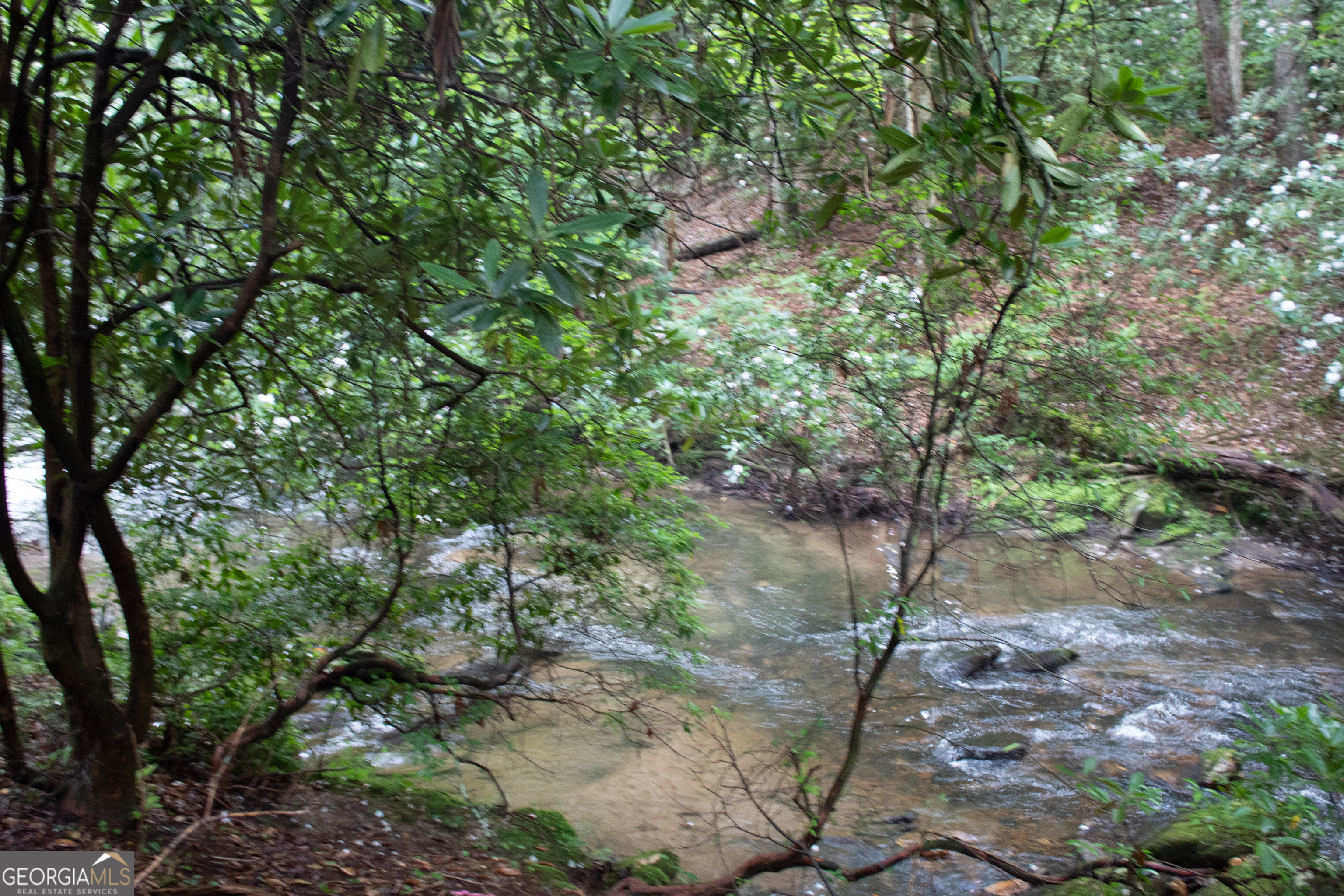 1990 Big Creek Road Blue Ridge GA 30513