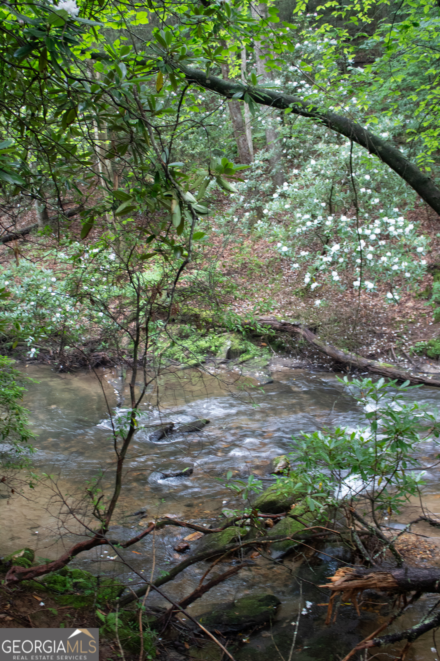 1990 Big Creek Road Blue Ridge GA 30513