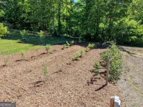 4836 Owltown Road Blairsville GA 30512