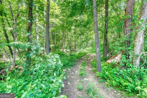 4836 Owltown Road Blairsville GA 30512
