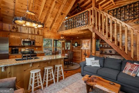 110 Mountain View Drive Cherry Log GA 30522