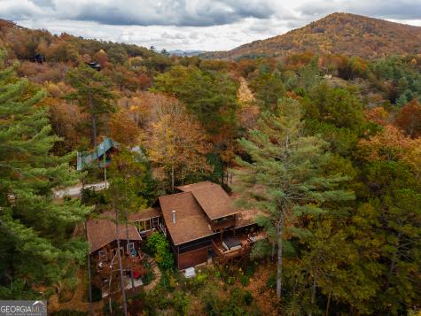 110 Mountain View Drive Cherry Log GA 30522