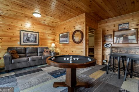 110 Mountain View Drive Cherry Log GA 30522