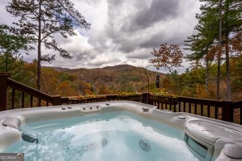 110 Mountain View Drive Cherry Log GA 30522
