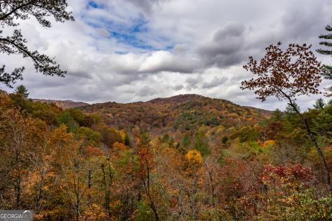 110 Mountain View Drive Cherry Log GA 30522