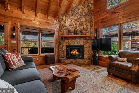 110 Mountain View Drive Cherry Log GA 30522