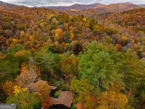 110 Mountain View Drive Cherry Log GA 30522