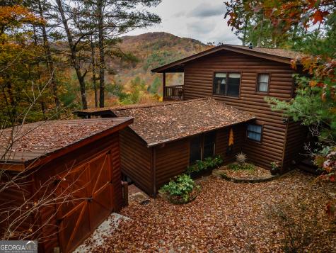 110 Mountain View Drive Cherry Log GA 30522