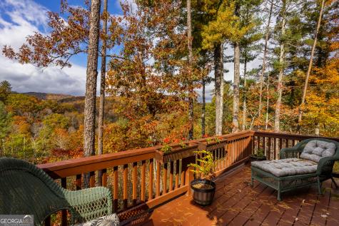 110 Mountain View Drive Cherry Log GA 30522