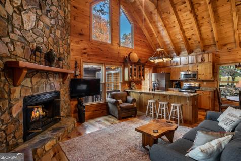 110 Mountain View Drive Cherry Log GA 30522