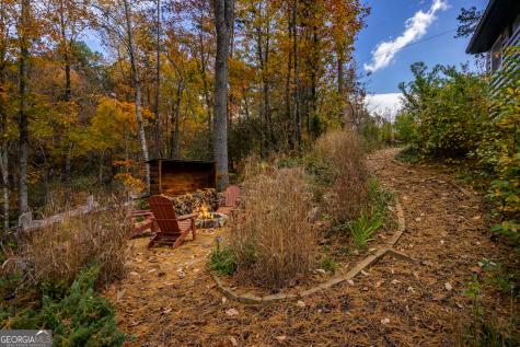 110 Mountain View Drive Cherry Log GA 30522