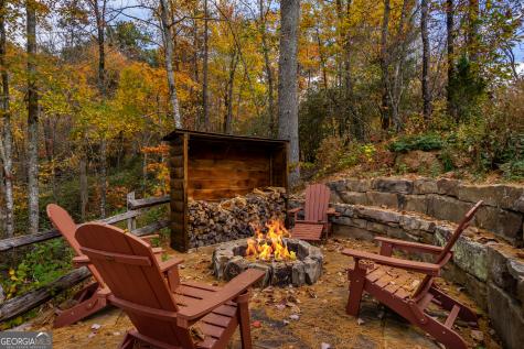 110 Mountain View Drive Cherry Log GA 30522