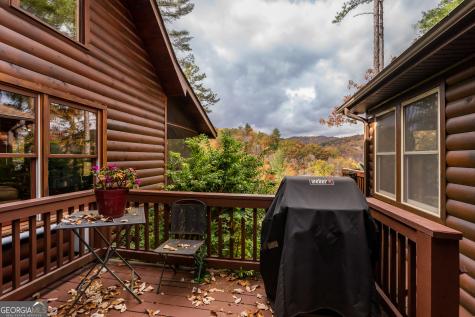 110 Mountain View Drive Cherry Log GA 30522