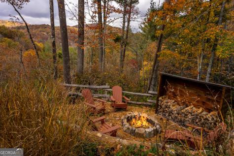 110 Mountain View Drive Cherry Log GA 30522