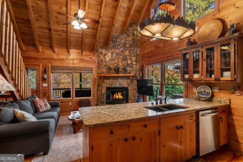 110 Mountain View Drive Cherry Log GA 30522