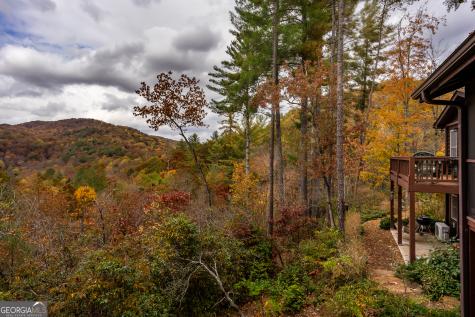 110 Mountain View Drive Cherry Log GA 30522