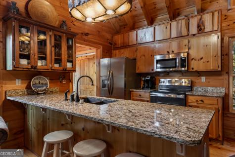 110 Mountain View Drive Cherry Log GA 30522