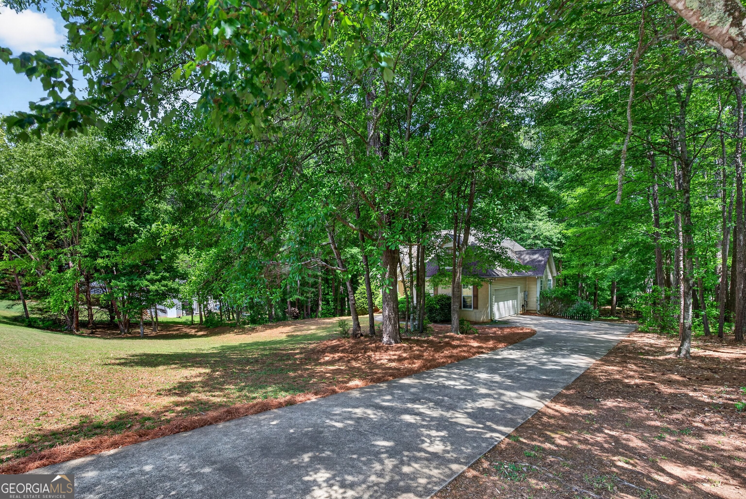 101 Line Creek Way Sharpsburg GA 30277