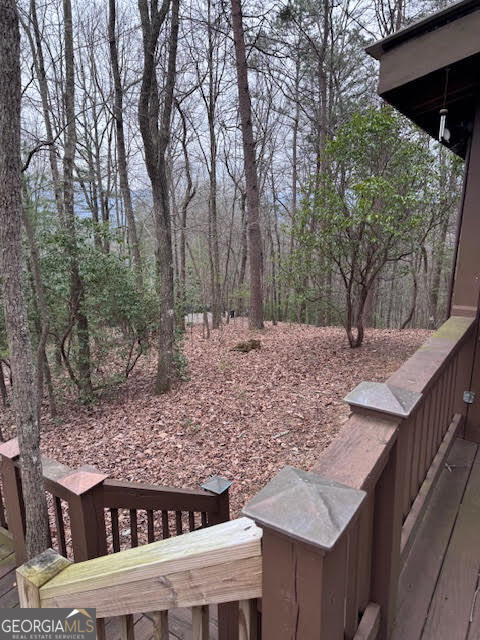 726 Cherry Lake Drive Cherry Log GA 30522