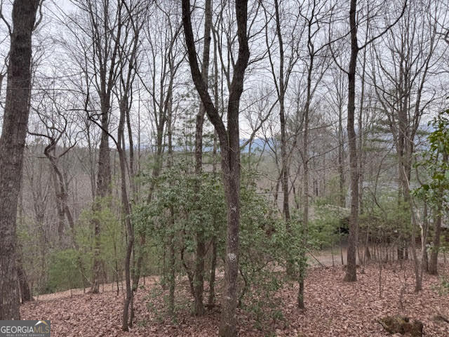 726 Cherry Lake Drive Cherry Log GA 30522