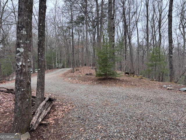 726 Cherry Lake Drive Cherry Log GA 30522