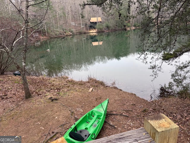 726 Cherry Lake Drive Cherry Log GA 30522