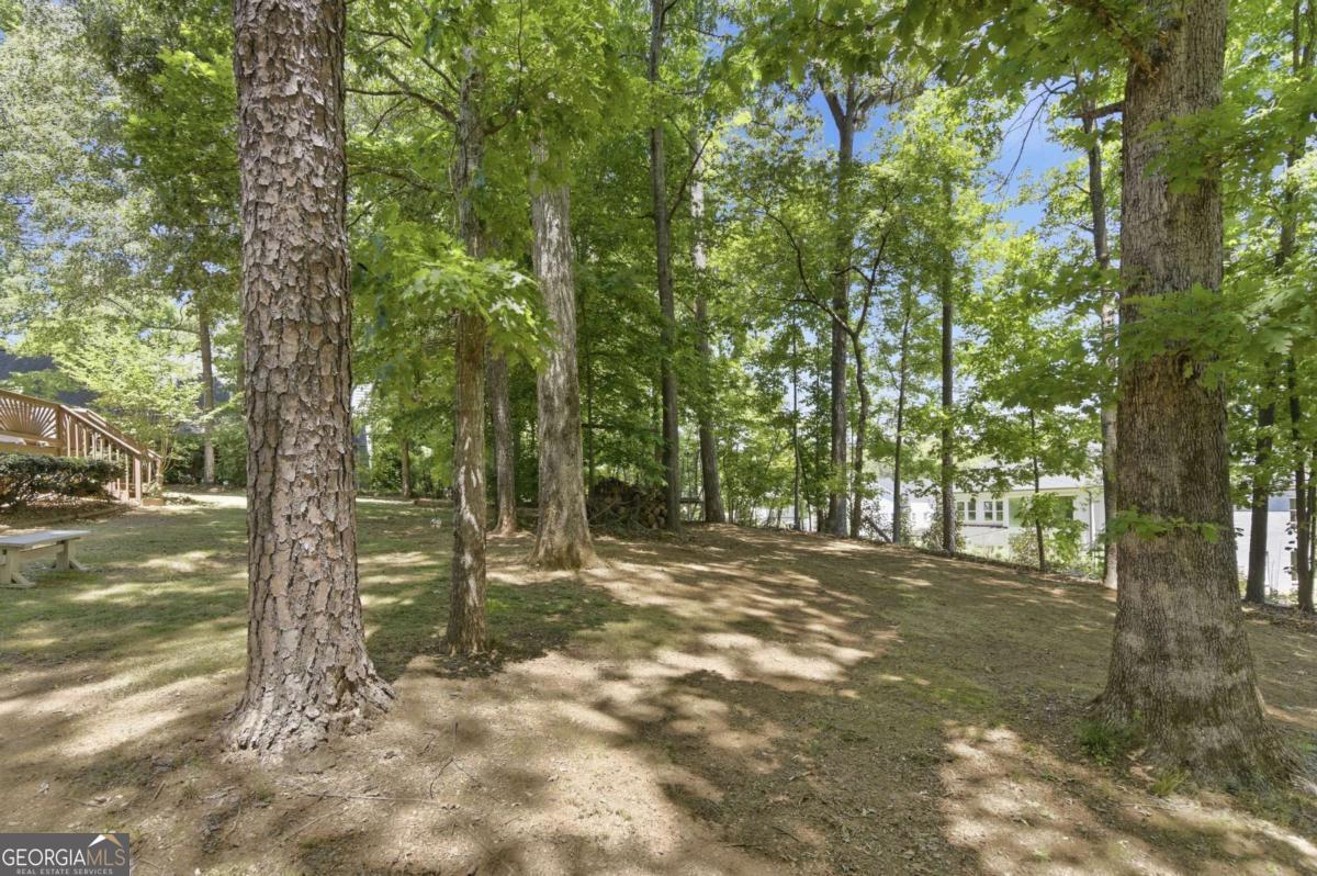 2445 Tillery Lane Cumming GA 30041