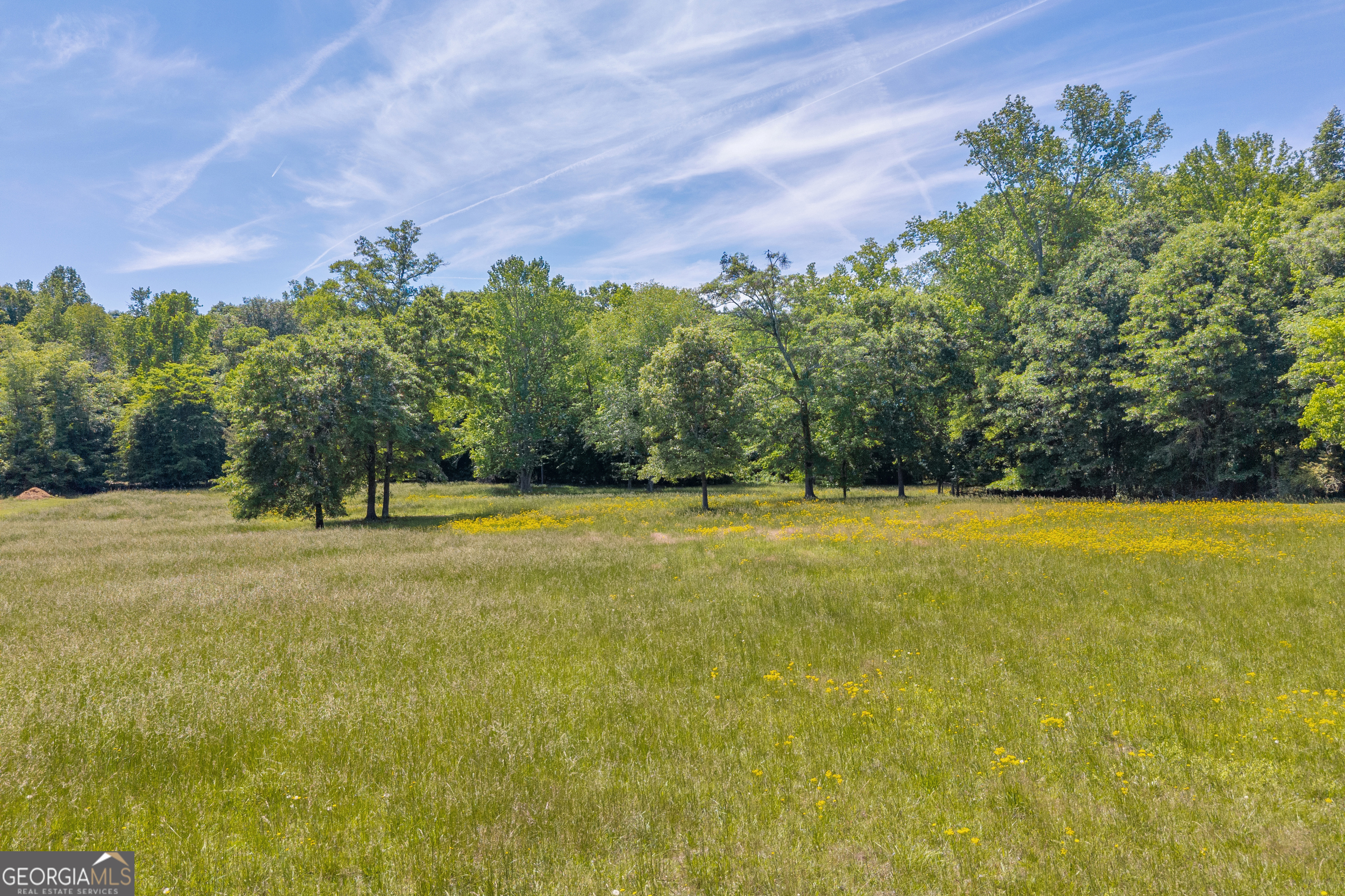 1018 Hardman Morris Road Colbert GA 30628