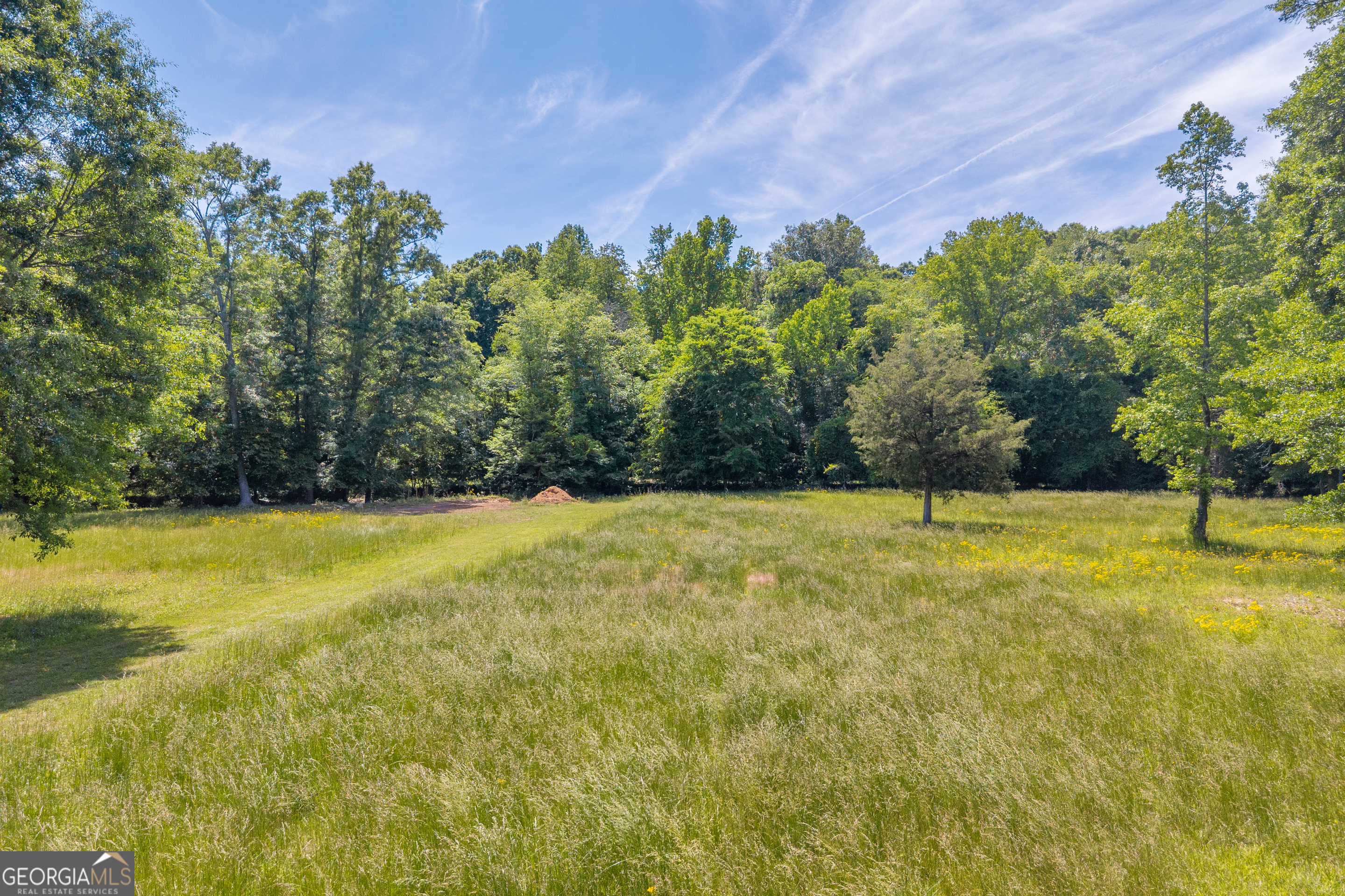 1018 Hardman Morris Road Colbert GA 30628
