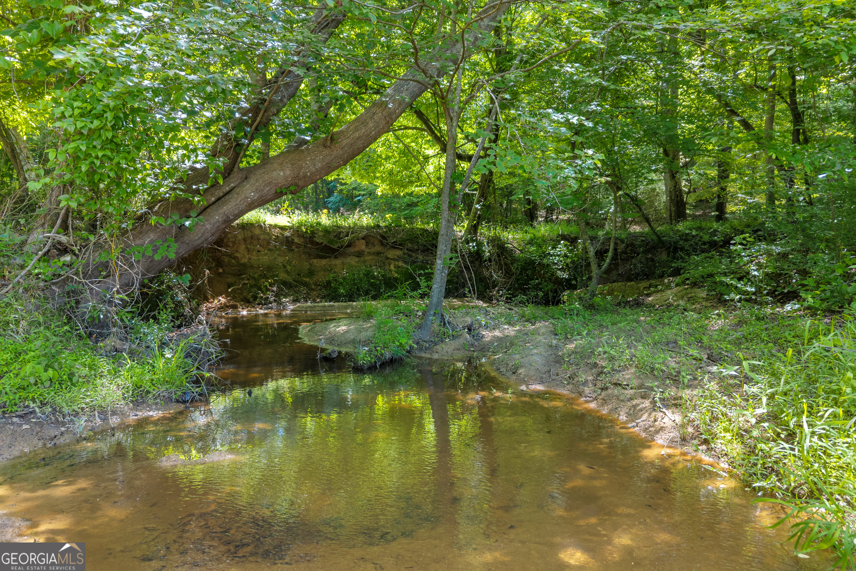 1018 Hardman Morris Road Colbert GA 30628