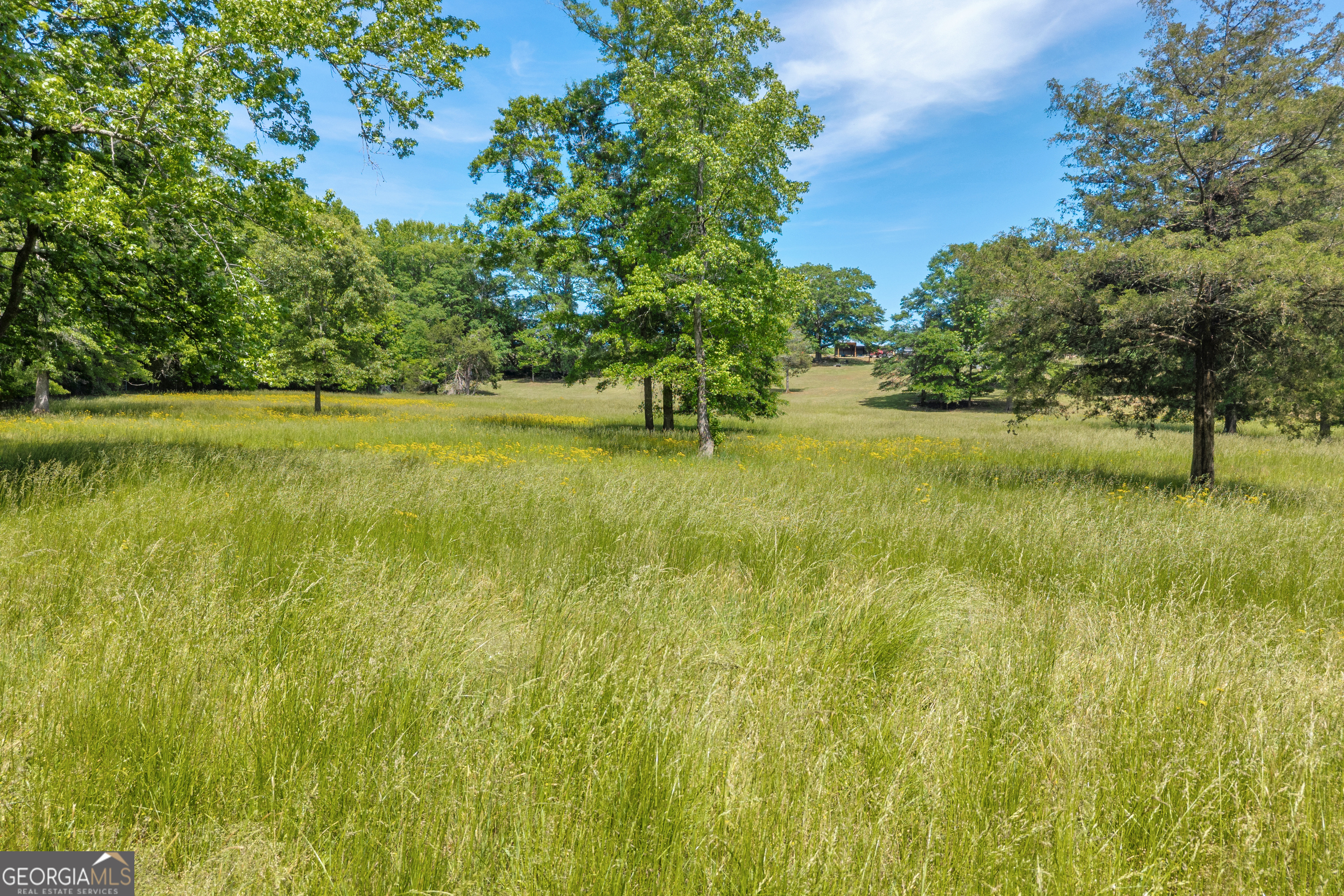 1018 Hardman Morris Road Colbert GA 30628