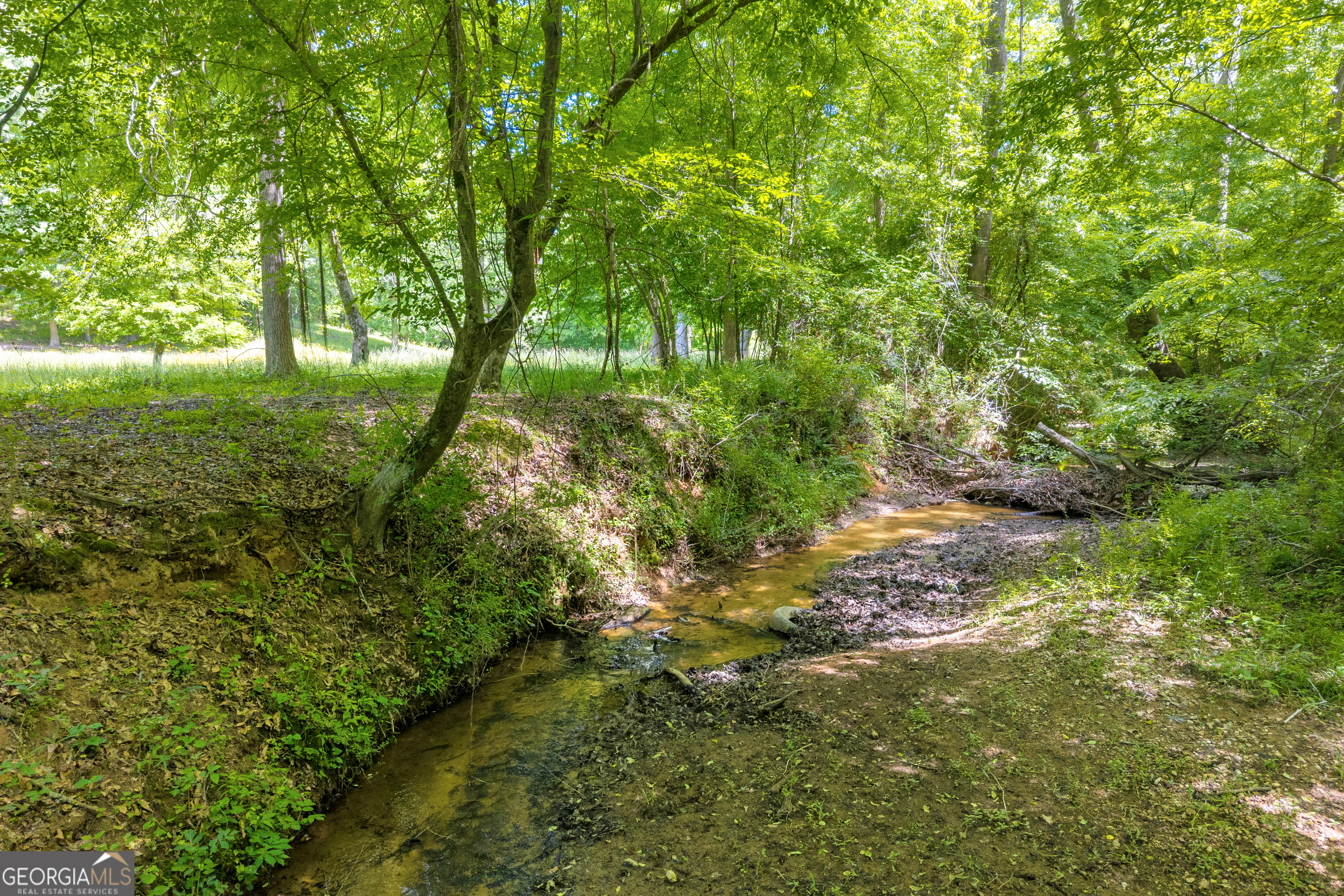 1018 Hardman Morris Road Colbert GA 30628