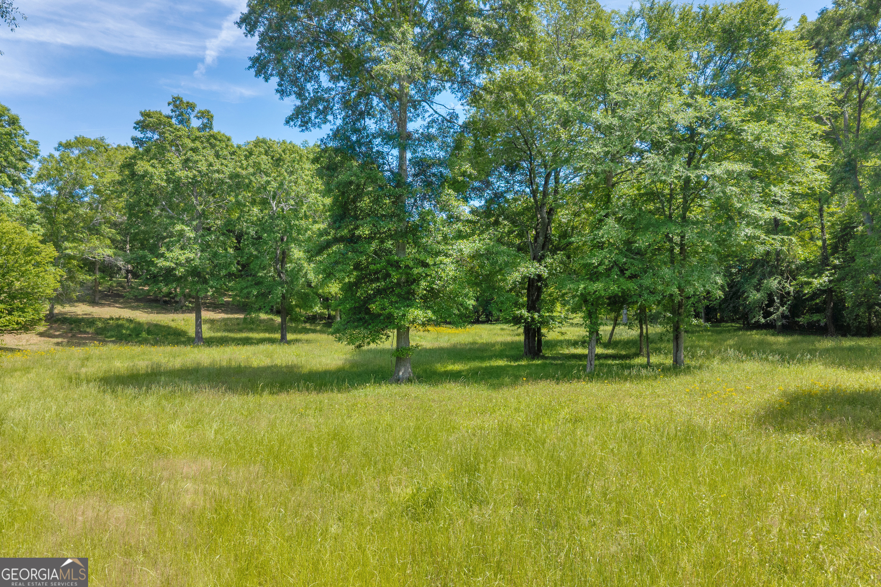 1018 Hardman Morris Road Colbert GA 30628