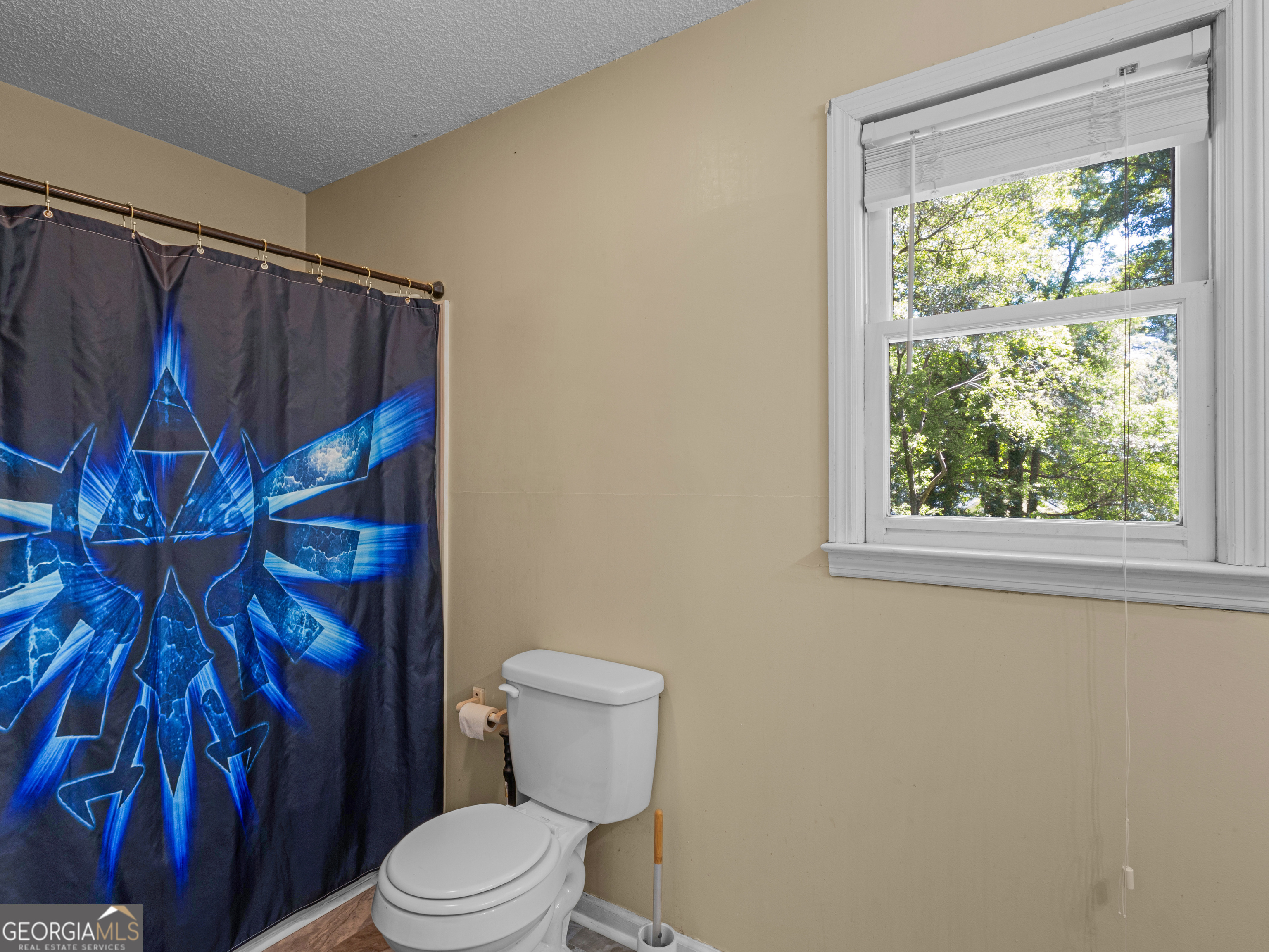12 Crabapple Circle Griffin GA 30224
