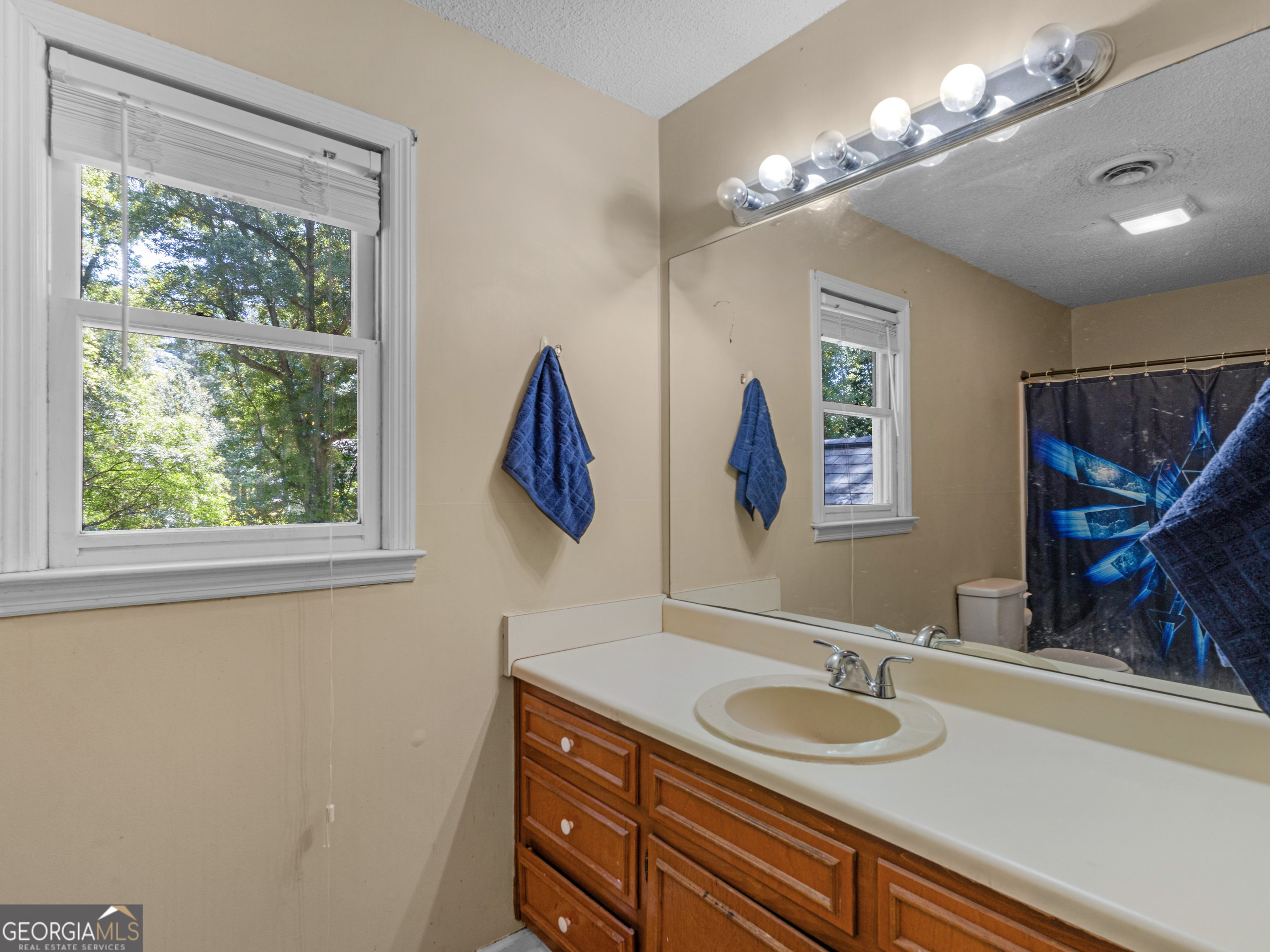 12 Crabapple Circle Griffin GA 30224