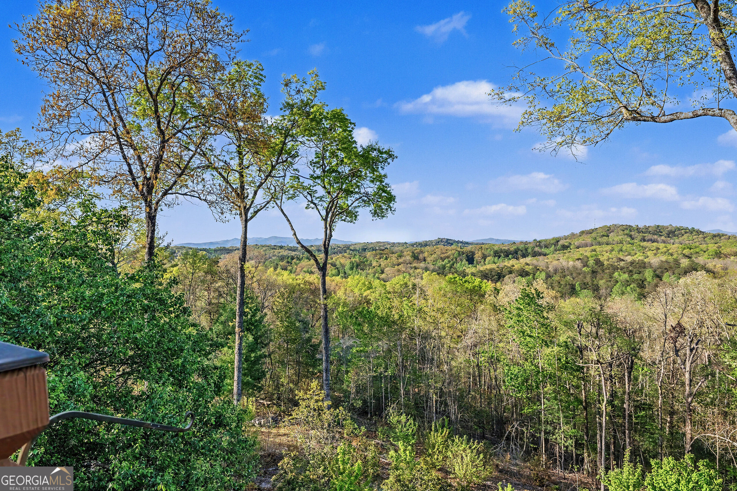 431 Sunrock Mountain Road Blue Ridge GA 30513