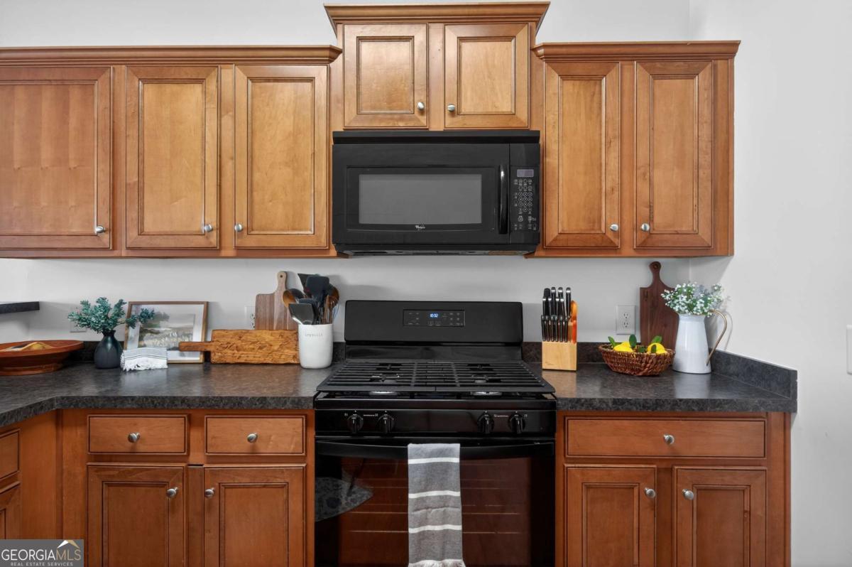 172 Riley Circle Dawsonville GA 30534