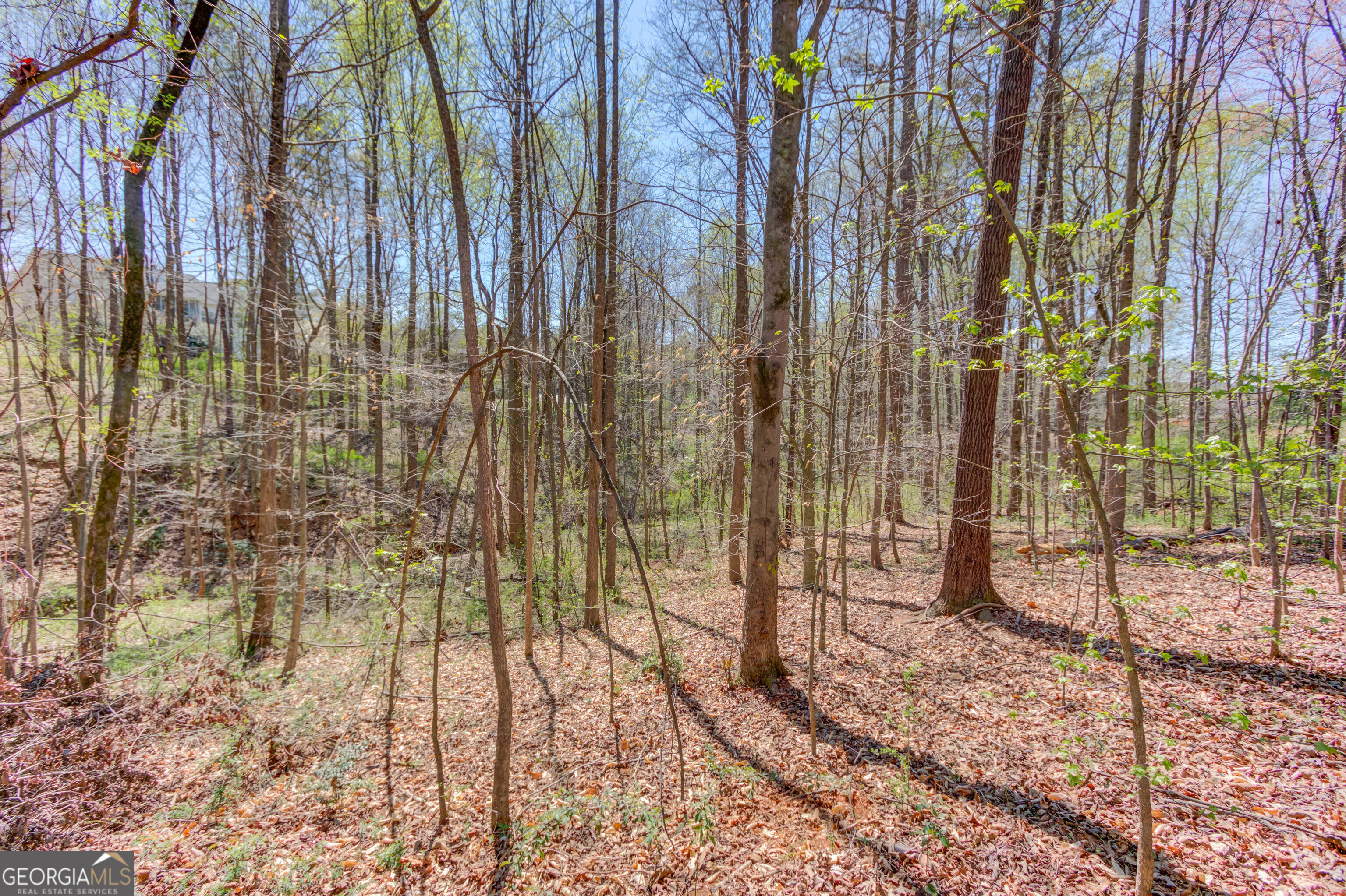 231 Station Drive Pendergrass GA 30567