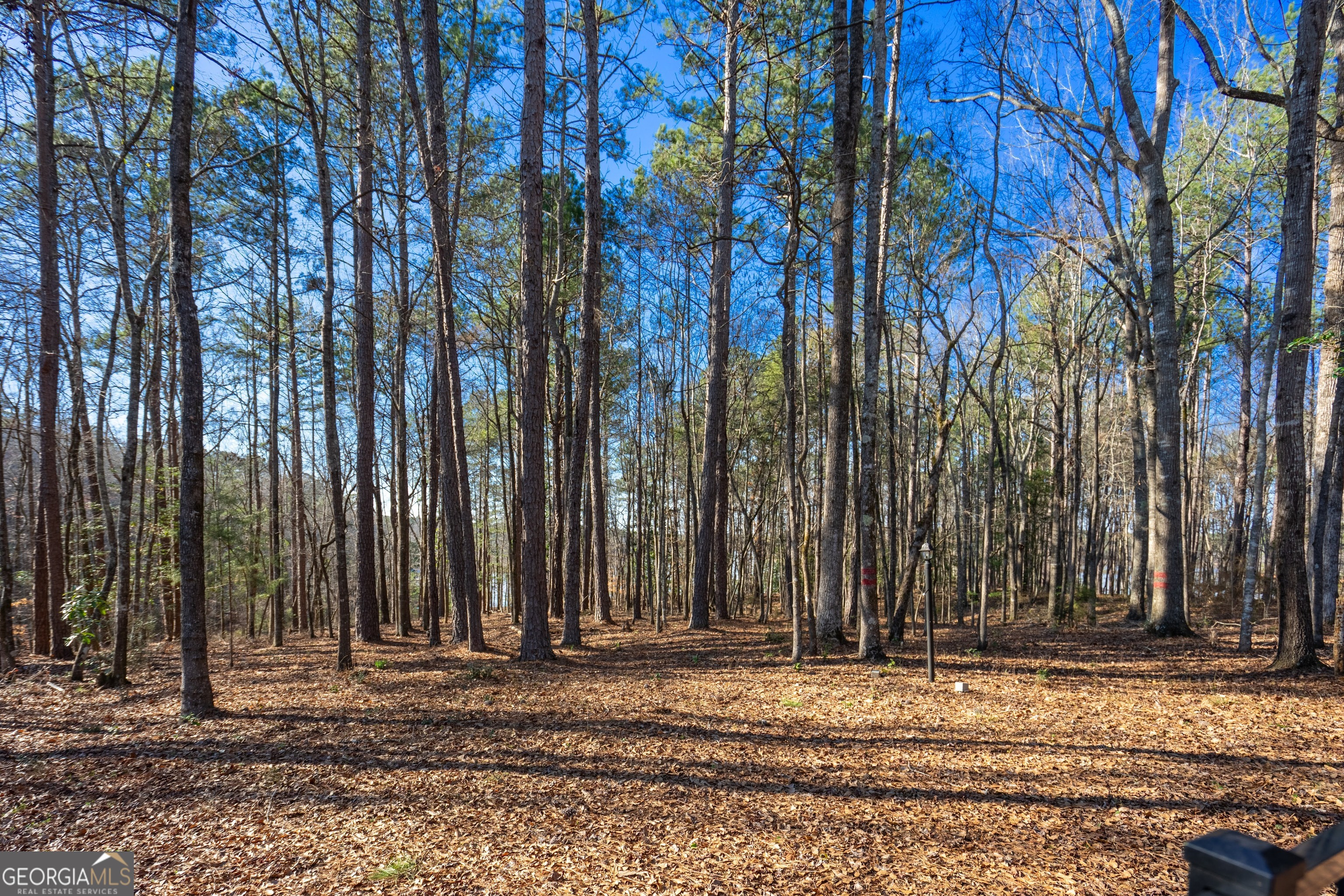 117 Woodchase Drive Lagrange GA 30240