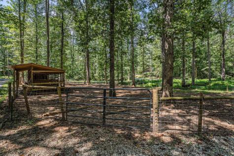 184 Andys Circle Dahlonega GA 30533